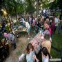 20250516_20-01-32_IMG_7882